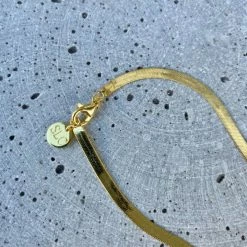 Silver Linings Axel Snake Chain Gold Necklace Accessories