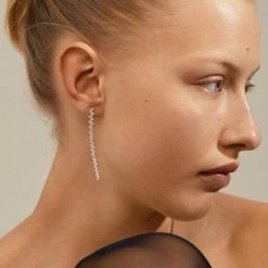 Pilgrim Belief Silver Crystal Dangling Stud Earrings