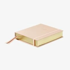 Emma Kate 2022 Pink Ballet Slipper Daily Desk Planner