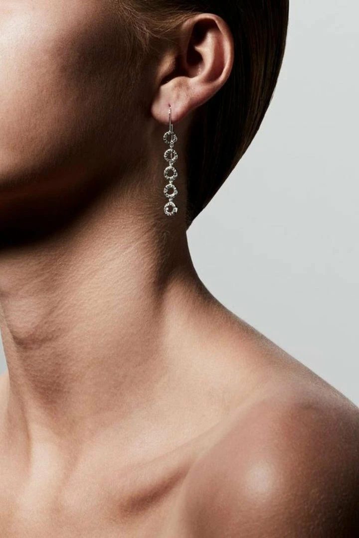 Pilgrim Accessories Tessa Preciosa Crystals On Linked Hanging Small Silver Circles Hook Earrings