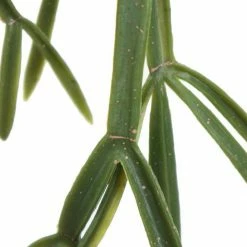 Robert Mark Faux Grass Garland 60cm Living & Decor