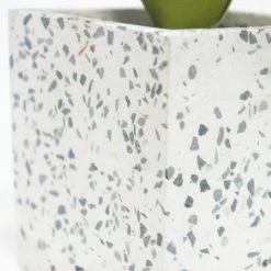 Robert Mark Living & Decor Bromelioideae In Grey Terrazzo Pot 20x8cm