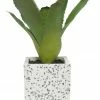 Robert Mark Living & Decor Bromelioideae In Grey Terrazzo Pot 20x8cm