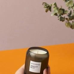 Ashley+Co Natural Waxed Parakeets + Pearls Perfume Candle Home & Beauty