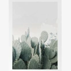 Papier HQ In The Desert Cacti White Framed A2 Print