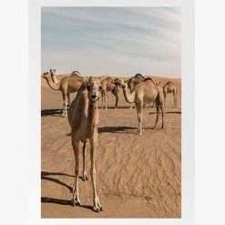 Papier HQ Living & Decor Smiley Camel Natural Framed A1 Print