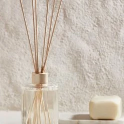 Circa Home CH Mango + Papaya Diffuser 250ml Home & Beauty
