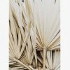 Papier HQ Dried Palm Leaves Natural Print Natural Frame A1 Print Living & Decor