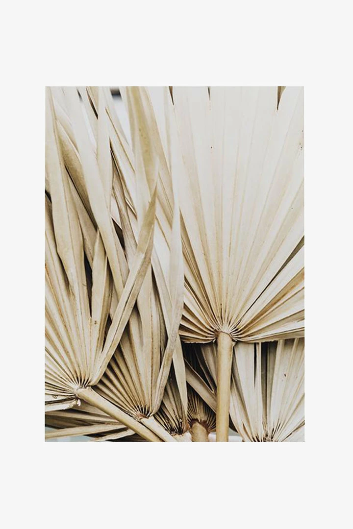 Papier HQ Dried Palm Leaves Natural Print Natural Frame A1 Print Living & Decor