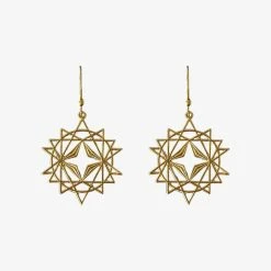 Lindi Kingi Starseed Gold Hook Earrings