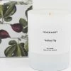 Father Rabbit Home Fragrance Italian Fig Scented Candle