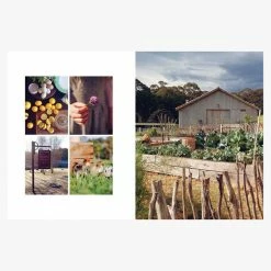 Publishers Distribution Future Steading