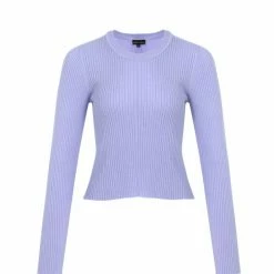 Among The Brave Fashion Inspired Lilac LS Rib Knit Cropped Crew Neck Top