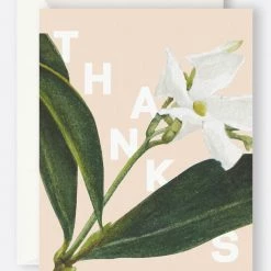 Father Rabbit Support Local Gifts Jasmine Thanks Card