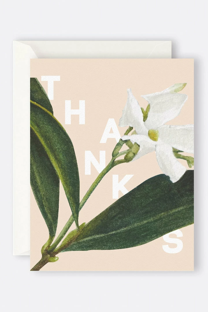 Father Rabbit Support Local Gifts Jasmine Thanks Card