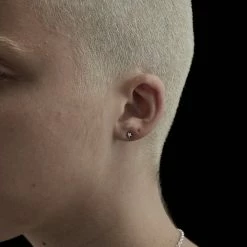 Stolen Accessories Mini Star Earrings