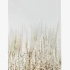 Papier HQ Living & Decor Pampas Grass Neutral Framed A1 Print