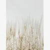 Papier HQ Pampass Grass Natural Framed A2 Print