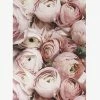Papier HQ Pink Pretty Petal White Framed A2 Print Living & Decor