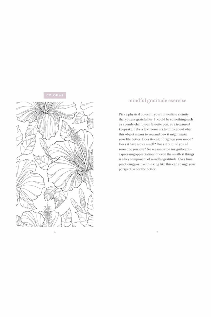 Flying Kiwi Take Care: Inspired Activities For Gratitude