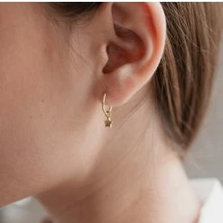 Sophie Twinkle Star Sleeper Earrings Gold
