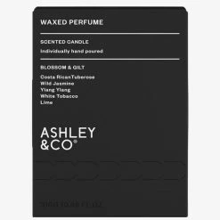 Ashley+Co Home & Beauty Natural Waxed Blossom + Gilt Perfume Candle