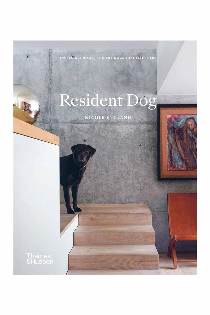 Flying Kiwi Books Resident Dog (Compact Edition)