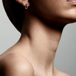 Pilgrim Accessories Roberta Pi Gold Plated Crystal 12mm Earrings