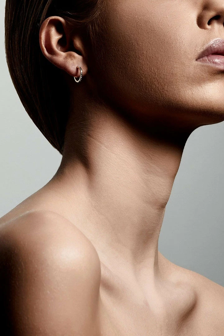 Pilgrim Accessories Roberta Pi Gold Plated Crystal 12mm Earrings