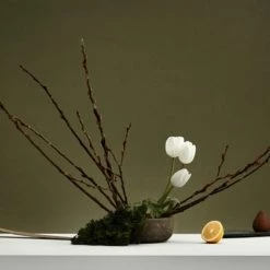 Ashley+Co Insink Top Up 1 Ltr