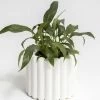 NED Collections Living & Decor White Alto Ribbed Vase