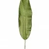 Chiba Enterprises Living & Decor Long Banana Leaf