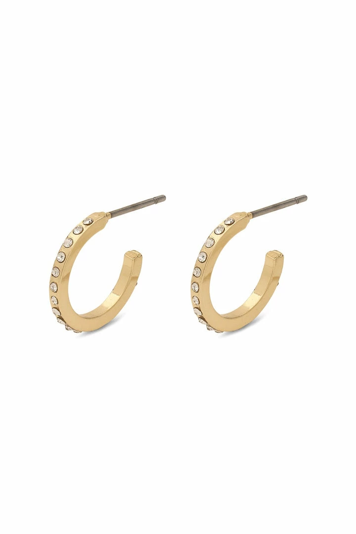 Pilgrim Accessories Roberta Pi Gold Plated Crystal 12mm Earrings