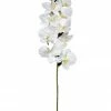 Chiba Enterprises Single White Orchid Stem