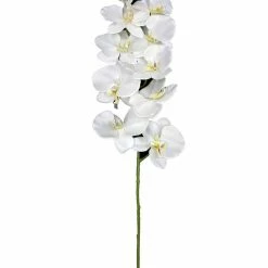 Chiba Enterprises Single White Orchid Stem