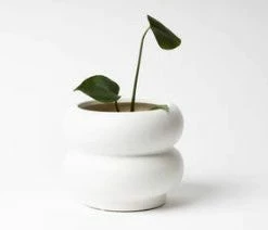 NED Collections Hazy White Medium Pot Support Local Gifts