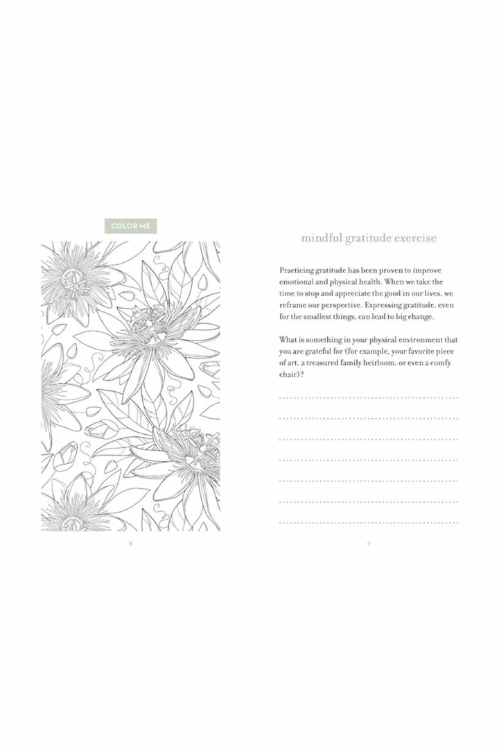 Flying Kiwi Books Take Care: Inspired Activities For Mindfulness