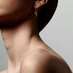 Pilgrim Tolerance Abstract Drop Hook Earrings Gold Plated Accessories