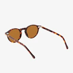 Status Anxiety Ascetic Brown Tort Round Sunglasses